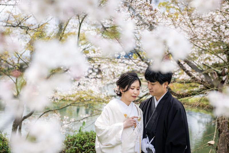 桜シーズンの大覚寺にて