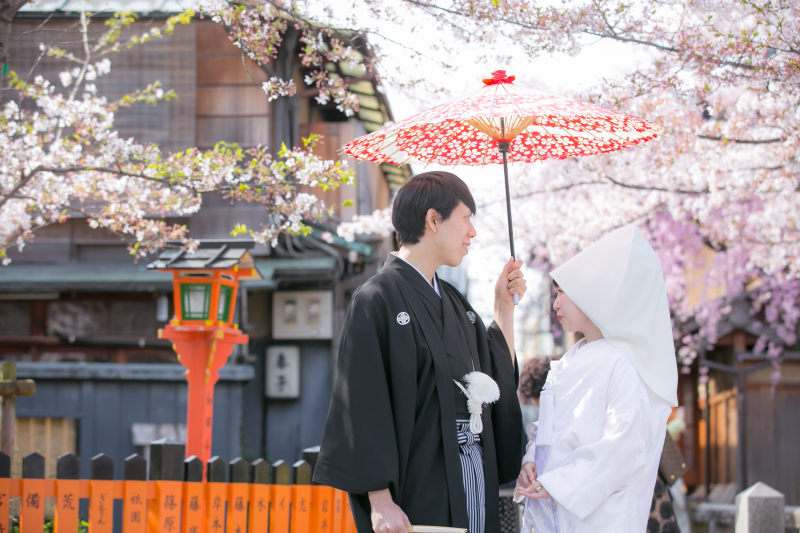 番傘に綿帽子に桜