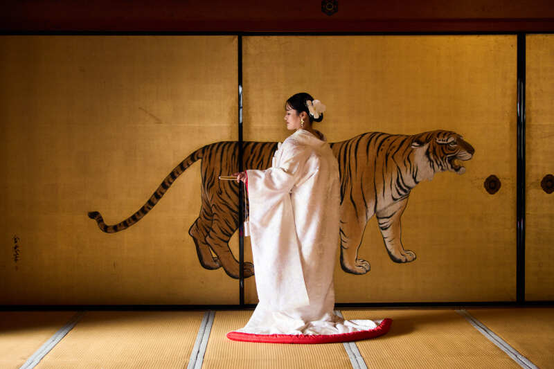 新婦様のソロ