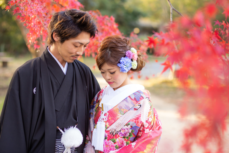 京都市内で撮影