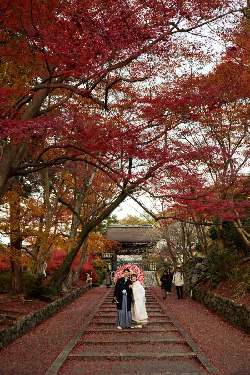 紅葉