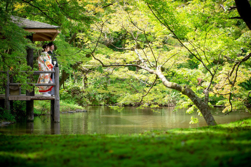 遠くを見つめながら