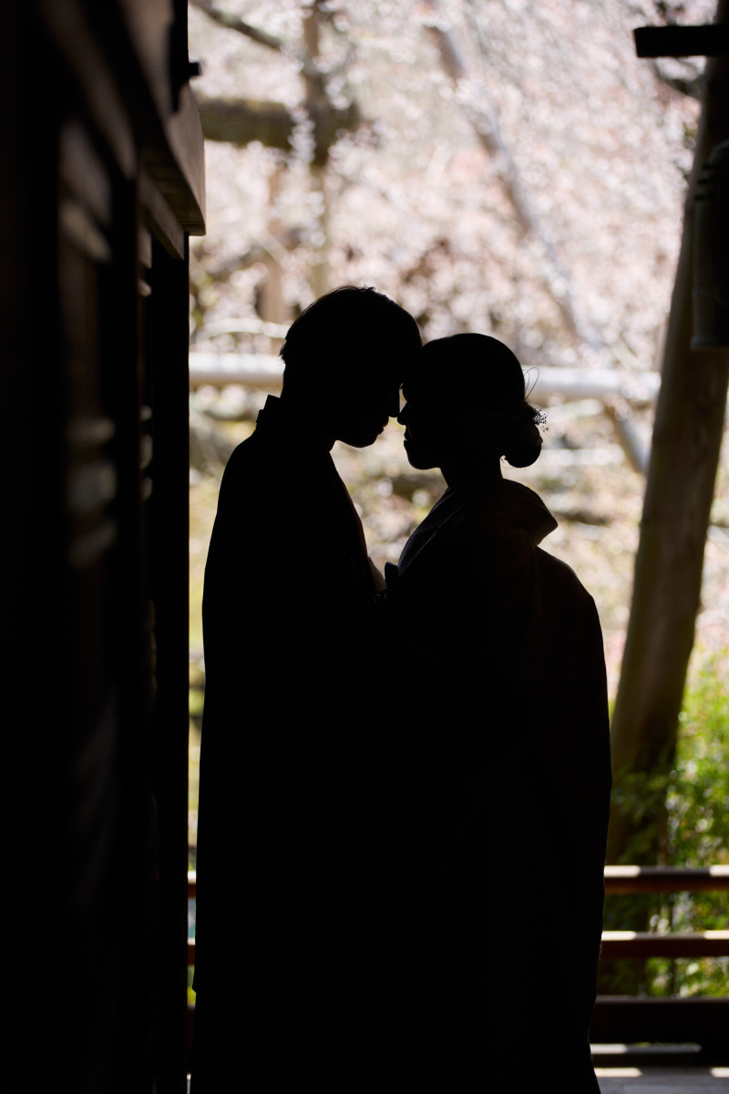 シルエットショット