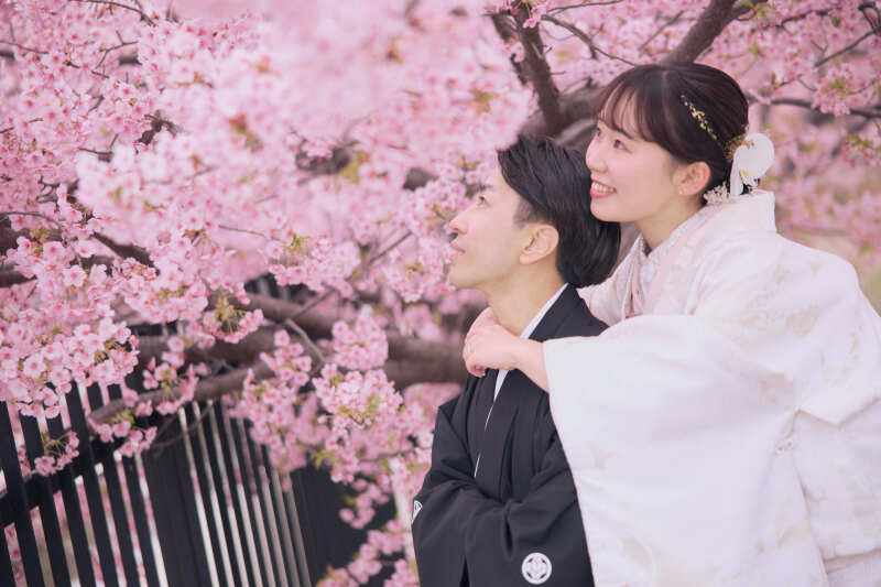 お花見?