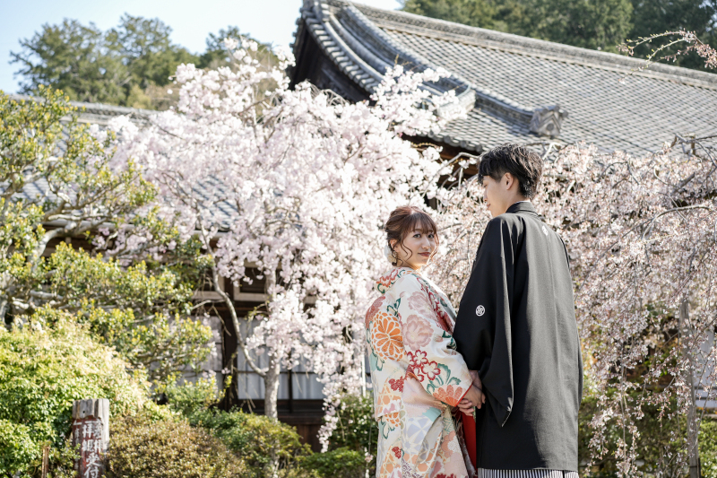 桜シーズン　毘沙門堂にて