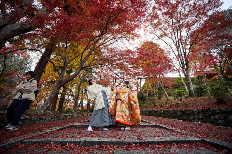 紅葉したで