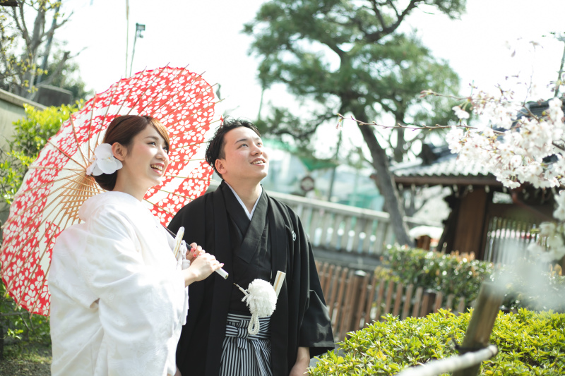 桜を眺めるお二人