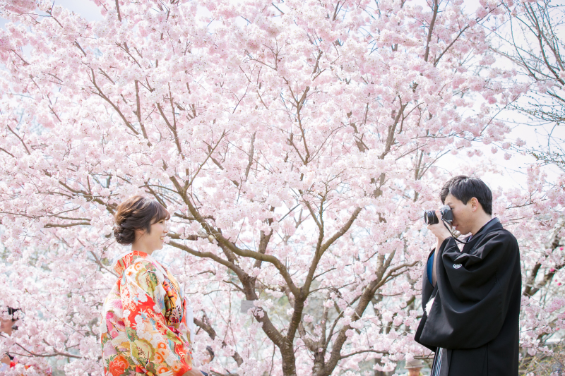 カメラを構えて