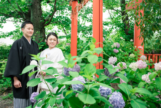 紫陽花咲く神社仏閣で撮影