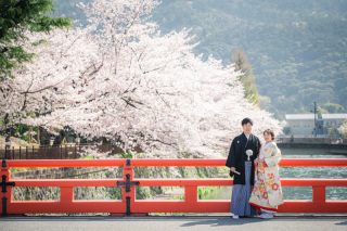 sakura時期のお客様