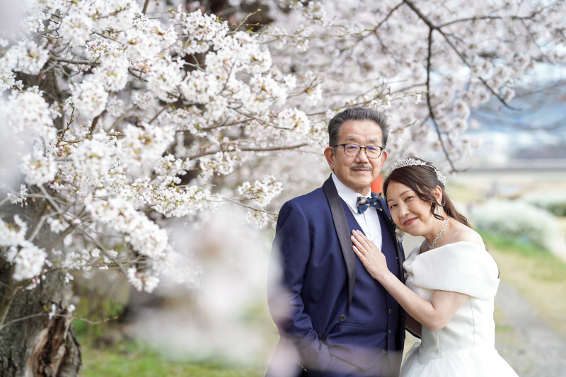 満開の桜　和装洋装＋ロケ地2か所にて