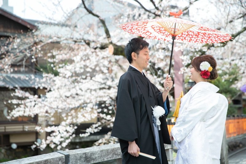 純白の桜と衣装