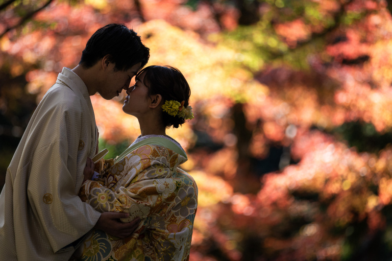 シルエットショット