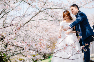 桜シーズンロケ2か所　和装＆洋装