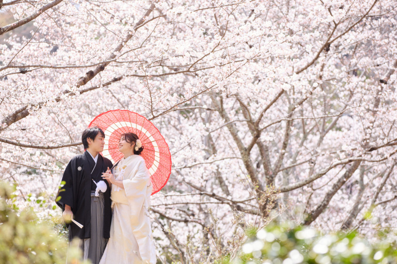 桜シーズンのロケ撮影&スタジオ撮影