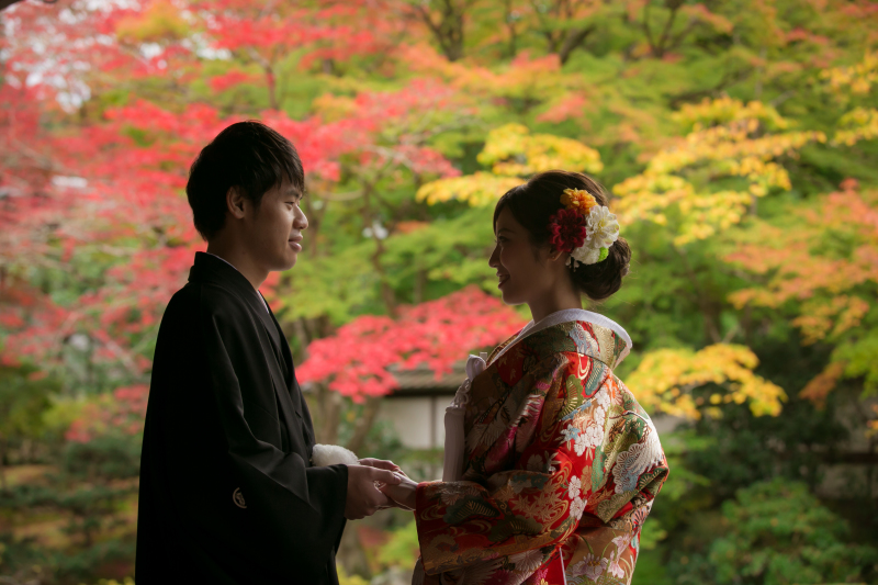 京都市内で撮影