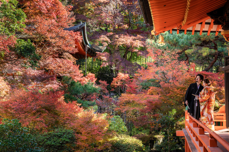 Point1 多彩な撮影シーン