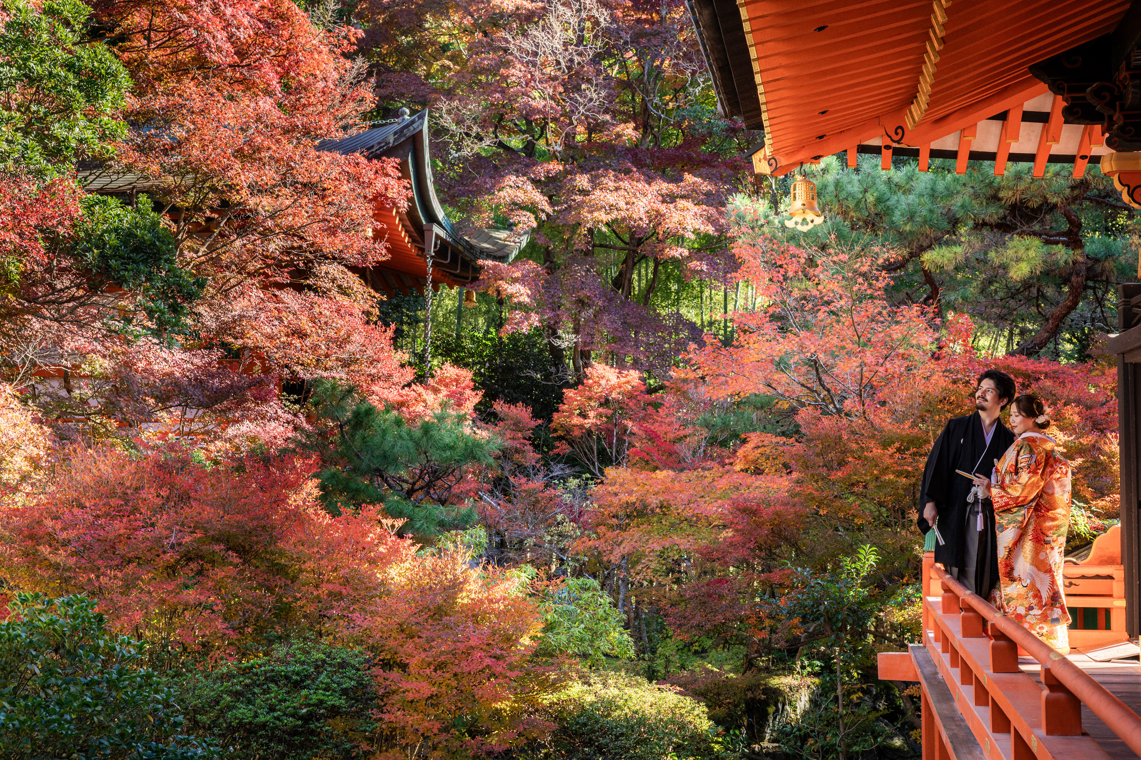 Point1 多彩な撮影シーン