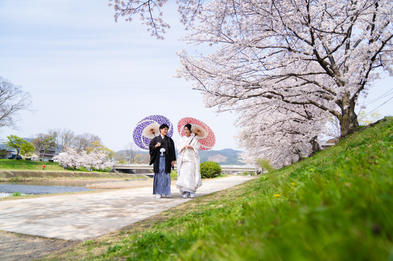 桜が満開の日、鴨川沿いでの撮影！鴨川を選んだ理由をお聞きすると、芝生の緑と桜のイメージが好きなので選びましたとお話してくださりおふたりの好きなイメージを大切に撮影することを心掛けています。
