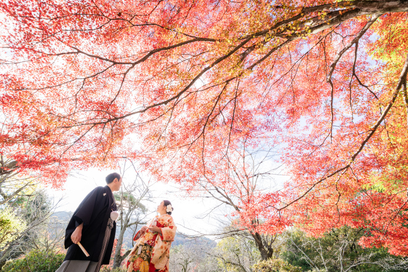 11/17～12/5【3万円OFF】和装2点ロケ地1か所　 155,000円