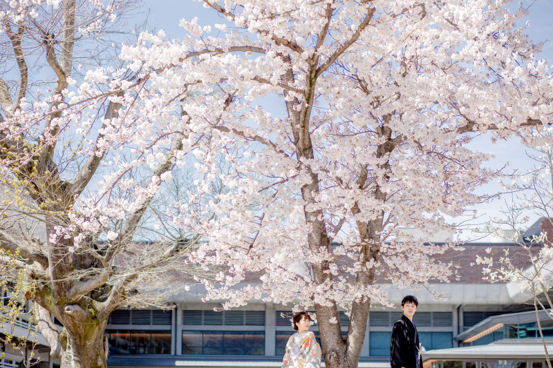 3/24～4/6【3万円OFF】和装1点ロケ地1か所　119,000円