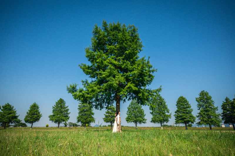 10/1～11/16【5万OFF】和装1点＋洋装1点ロケ地2か所 208,000円