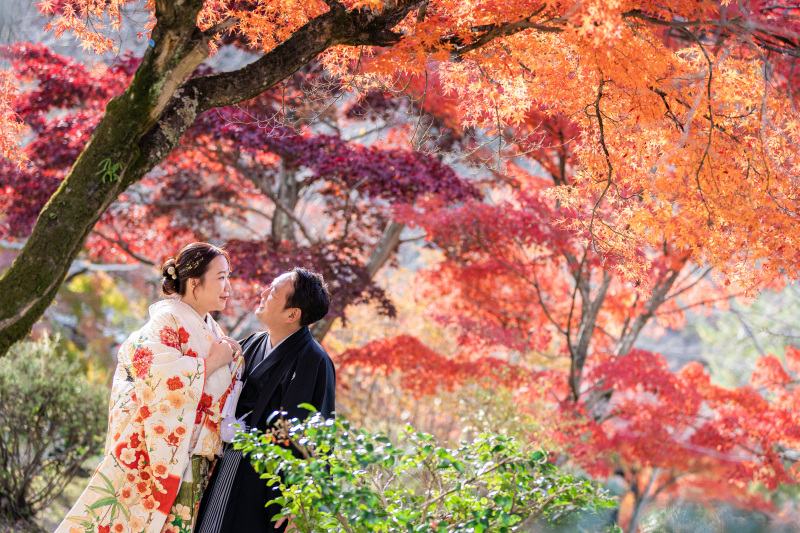 11/17～12/5【3万円OFF】和装2点ロケ地1か所　 155,000円