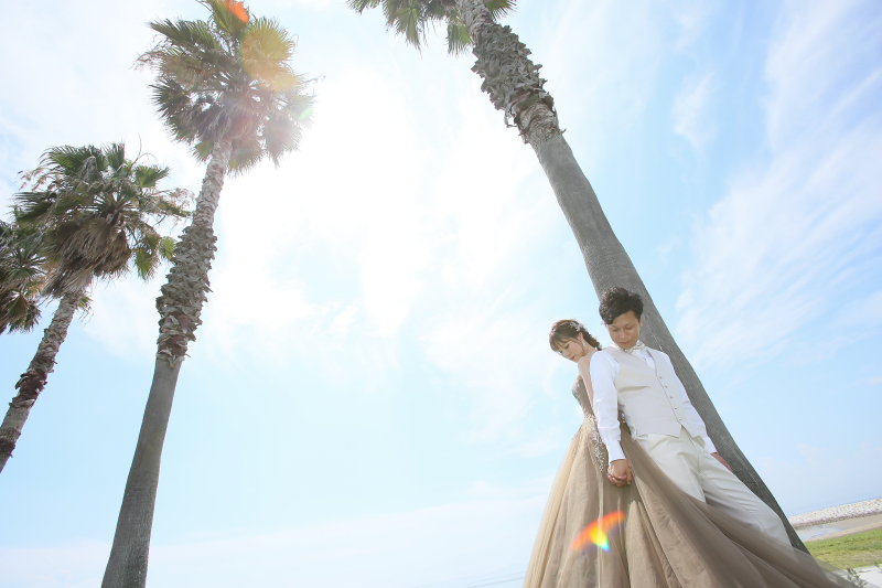 光を取り入れて