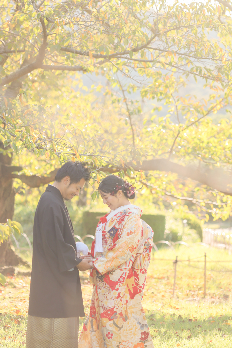 木漏れ日の中で