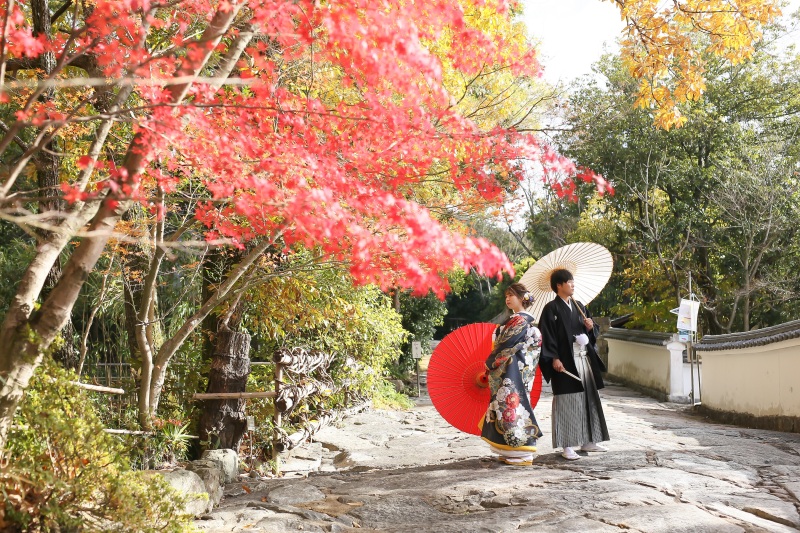 【人と違った場所で撮りたいという方必見】四国村