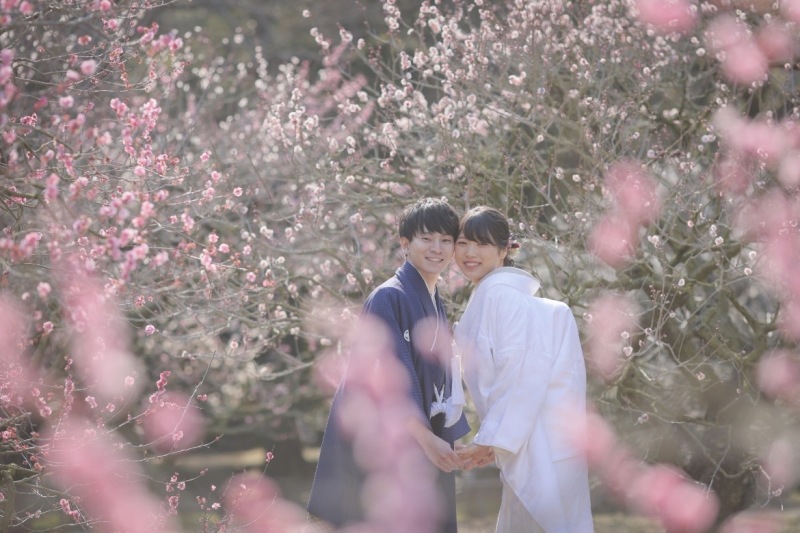 この時期しか撮れない梅の木と一緒に