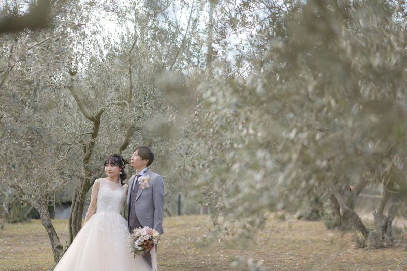 オリーブの木に囲まれて