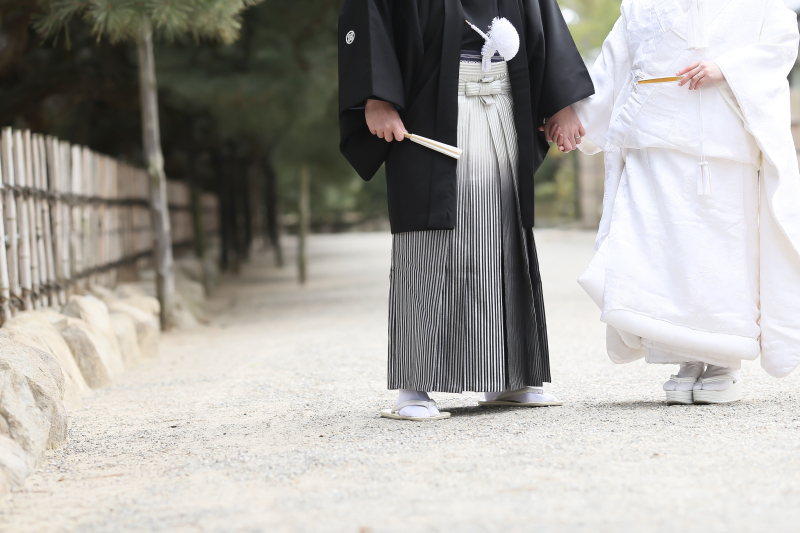 和装2点&洋装1点