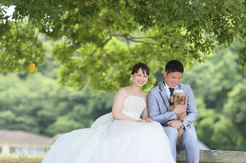 希望撮影だった愛犬と