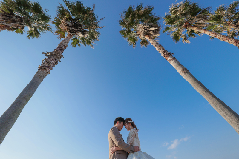青空×ヤシの木