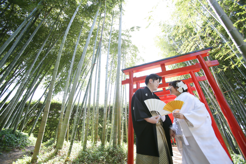赤い鳥居と竹林
