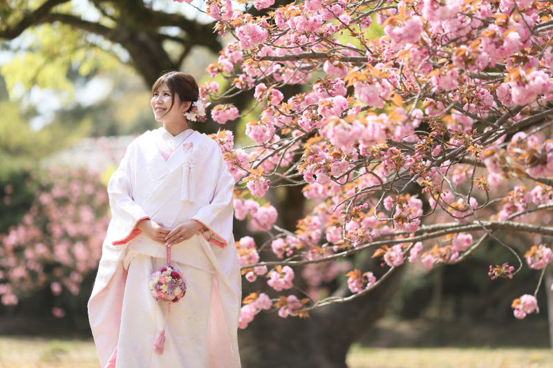 桜と白無垢