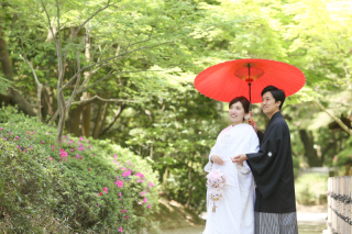 もう少しで新緑シーズン！