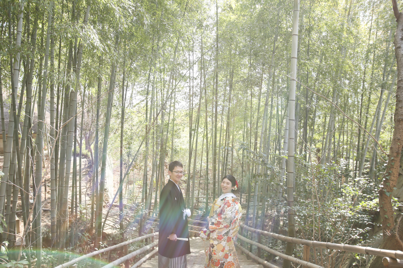 緑が降り注ぐ竹林