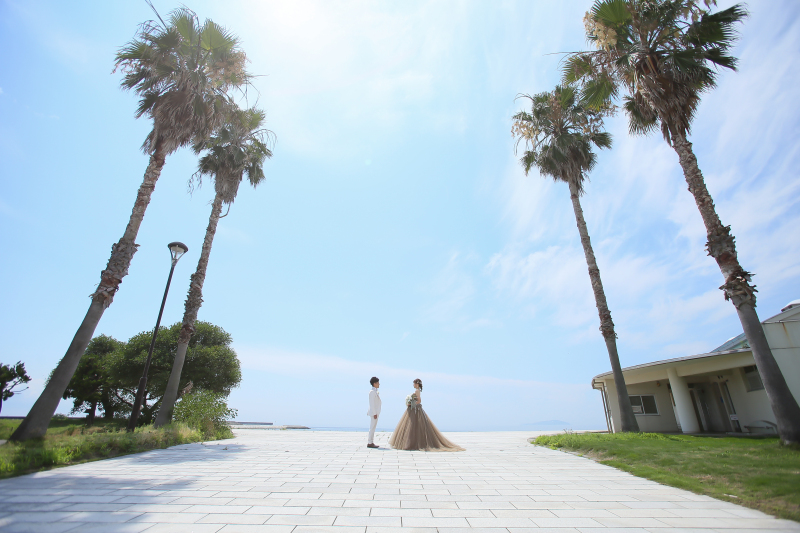 青空とヤシの木
