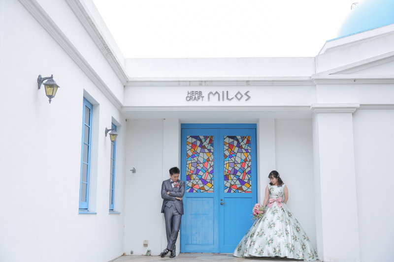 オリーブ公園撮影スタート!