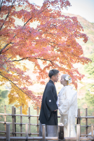 TARES_紅葉