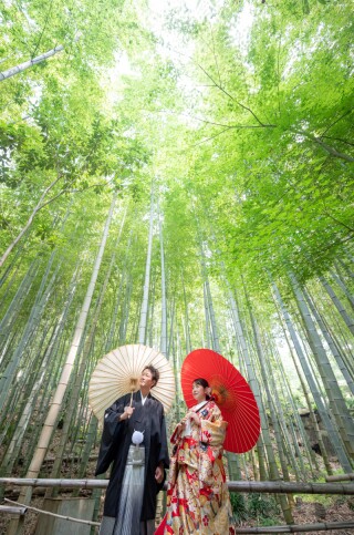 TARES_最新写真