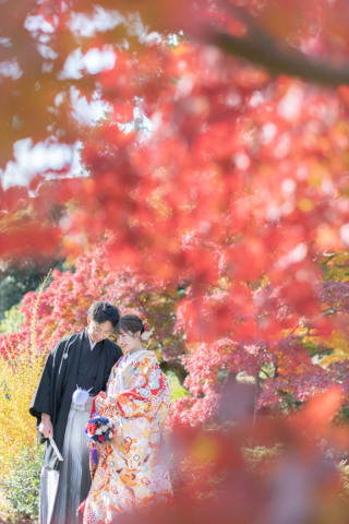 TARES_紅葉