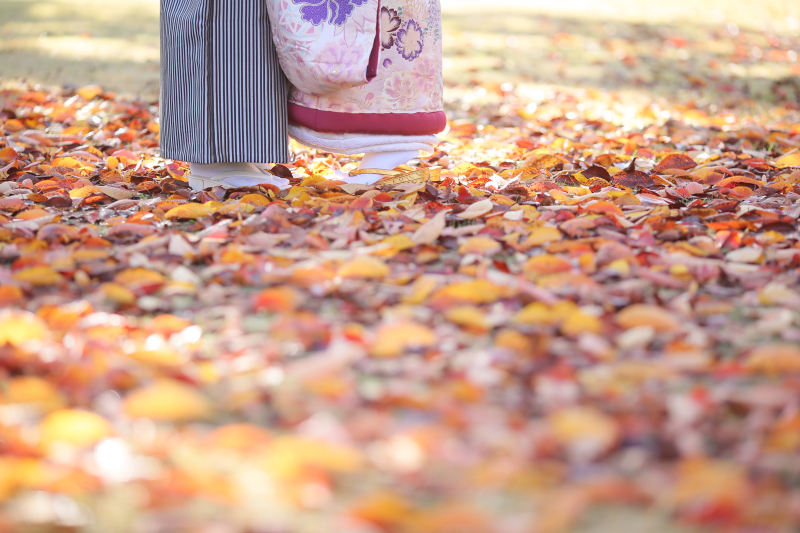 前写し和装2点ロケーションプラン