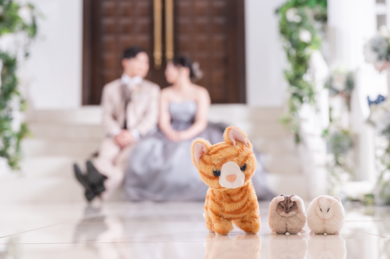 洋装ラストはお持込アイテムと一緒に♪