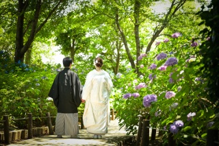 ＊6月：和装2着ロケーション&スタジオ＊時期限定の紫陽花で