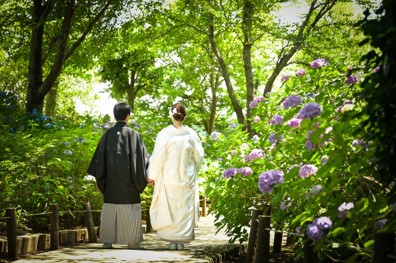 *6月:和装2着ロケーション&スタジオ*時期限定の紫陽花で
