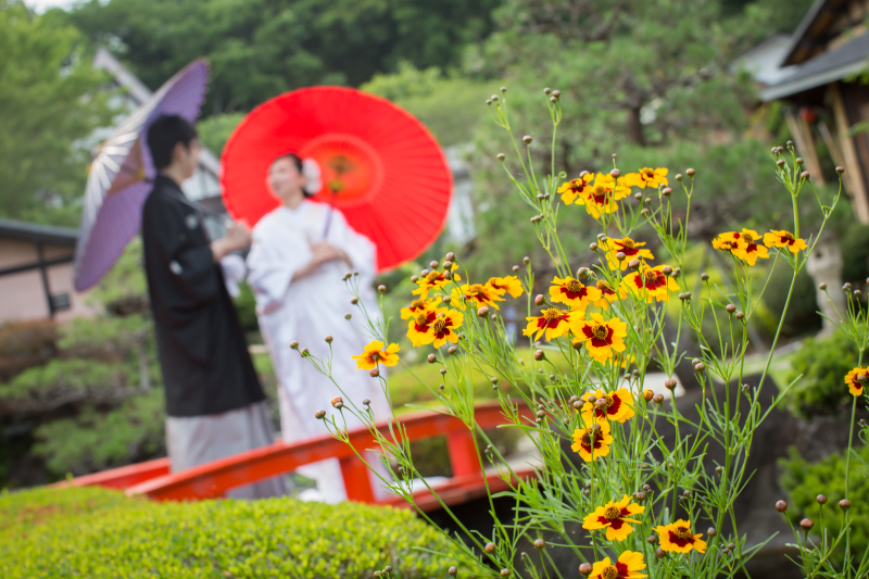 素敵な写真をたくさん残してくださり感謝です