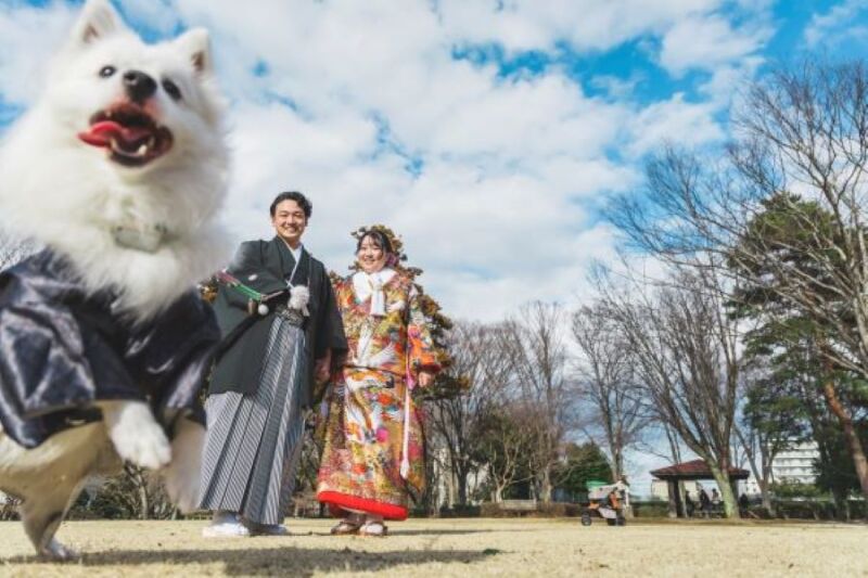 3月：和装2着ロケーションプラン＊愛犬と撮影＊公園・スタジオ＊